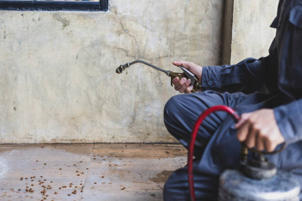 Best Flea Control Services  in River Falls, WI