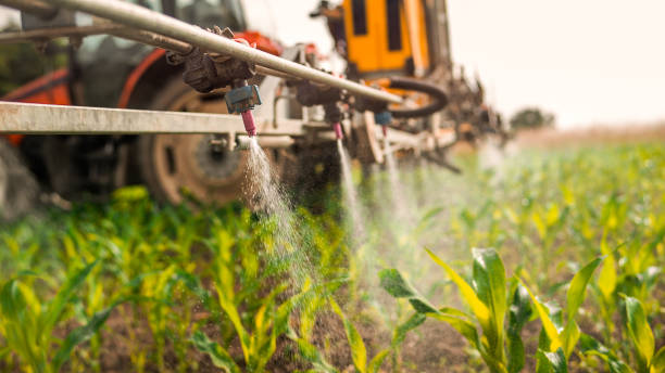 Best Wildlife Control Services  in River Falls, WI